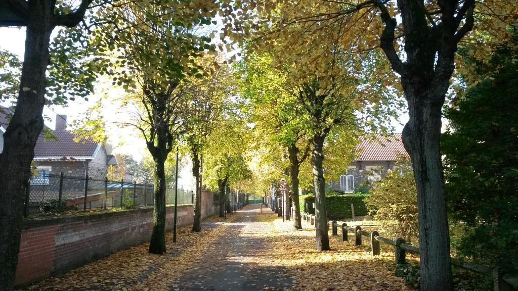 Les Gites De L'Ecole Buissonniere Lens Exteriör bild